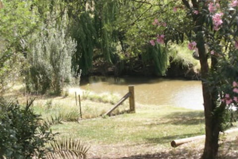Kellys Motel Oakey - Accommodation Sunshine Coast 5
