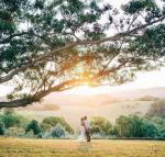 Cedia at Byron Bay Hinterland - Accommodation Sunshine Coast