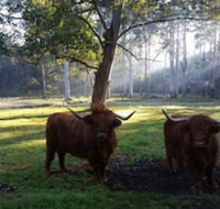 Dingley Dell - Accommodation Sunshine Coast