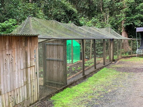 Figtree Getaway - Accommodation Sunshine Coast 6