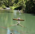 Figtree Getaway - Accommodation Sunshine Coast