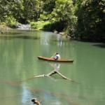 Figtree Getaway - Accommodation Sunshine Coast 0