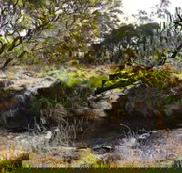 Green Gully House - Accommodation Sunshine Coast