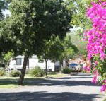 BIG 4 Hay - Accommodation Sunshine Coast