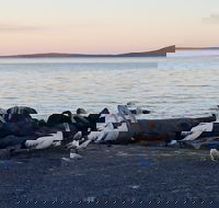 Hilton Motel - Accommodation Sunshine Coast