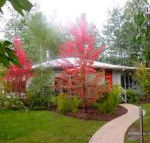 Dalrymples Guest Cottages - Accommodation Sunshine Coast