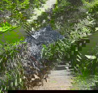 Montagues of Montville - Accommodation Sunshine Coast