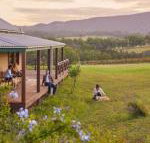 Hanging Tree Wines - Accommodation Sunshine Coast