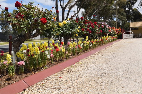 Big River Motel - Accommodation Sunshine Coast 5