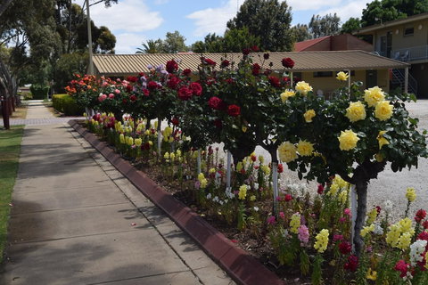 Big River Motel - Accommodation Sunshine Coast 2