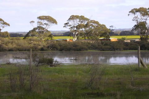 Seal Bay Cottages - Accommodation Sunshine Coast 5