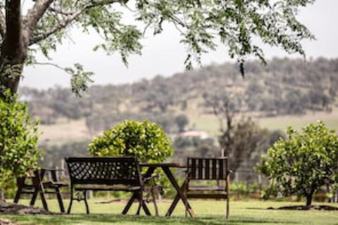 Bluebush Estate - Accommodation Sunshine Coast 0