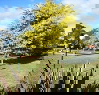 Bairnsdale Main Motel - Accommodation Sunshine Coast