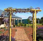 Lavendale Farmstay  Cottages York - Accommodation Sunshine Coast