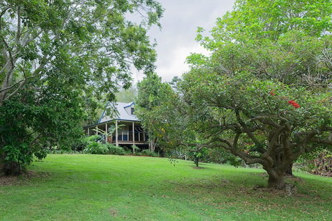 Jacaranda Cottages - Accommodation Sunshine Coast 1