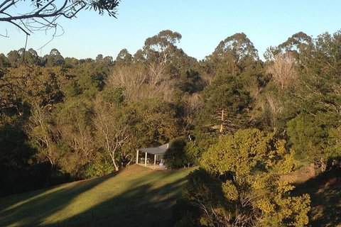 Jacaranda Cottages - Accommodation Sunshine Coast 3