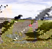 Taras Richmond Farmstay - Accommodation Sunshine Coast