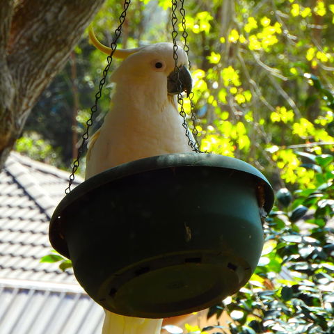 Bowral Road Bed And Breakfast - Accommodation Sunshine Coast 1