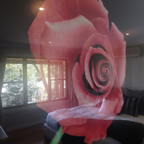 Bowral Road Bed And Breakfast - Accommodation Sunshine Coast 5