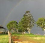 CBR Equine Cottage - Accommodation Sunshine Coast