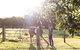 Bridle Guesthouse - thumb 6