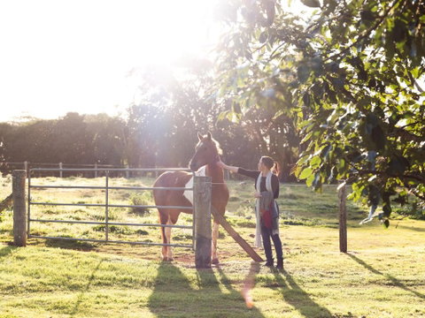 Bridle Guesthouse - Accommodation Sunshine Coast 6