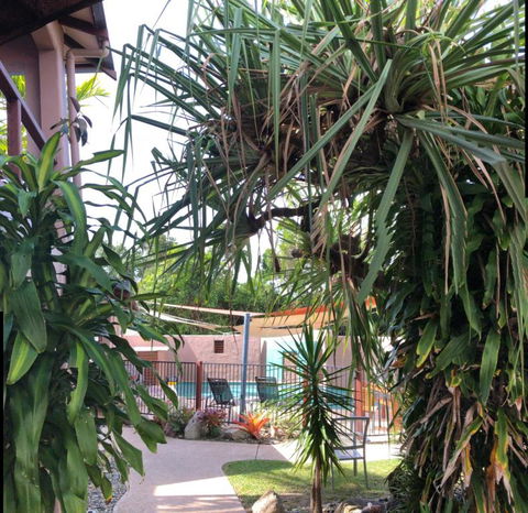 Pandanus Holiday Apartments - Accommodation Sunshine Coast 4