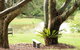 McCarthy Lake House - thumb 4
