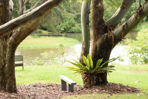 McCarthy Lake House - Accommodation Sunshine Coast 4