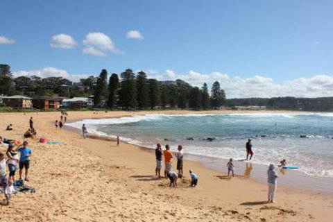 Avoca Beach Cape Cottage - Accommodation Sunshine Coast 0