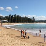Avoca Beach Cape Cottage - Accommodation Sunshine Coast 1