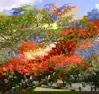 Eastwood Farm - Accommodation Sunshine Coast