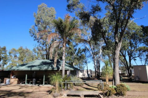 AAOK Jandowae Accommodation Park - Accommodation Sunshine Coast 0