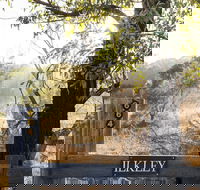 Ilkley Cottages - Accommodation Sunshine Coast