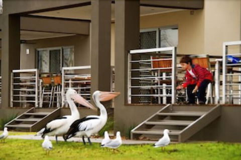 Ski Club Holiday Park - Accommodation Sunshine Coast 2