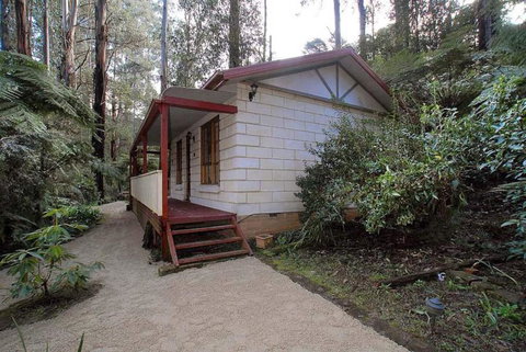 Fernglen Forest Retreat - Accommodation Sunshine Coast 5