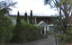 Sea Banksia - thumb 4
