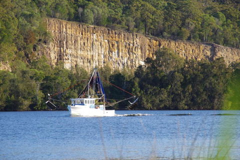 Squeakygate Retreat - Accommodation Sunshine Coast 6