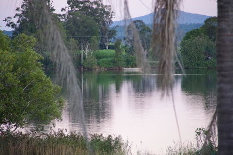 Squeakygate Retreat - Accommodation Sunshine Coast 5