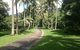 Cape Trib Farmstay - thumb 0