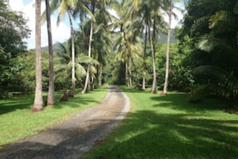 Cape Trib Farmstay - Accommodation Sunshine Coast 0