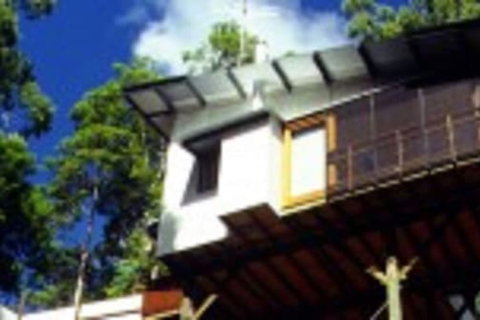 Lyola Pavilions In The Forest - Accommodation Sunshine Coast 1
