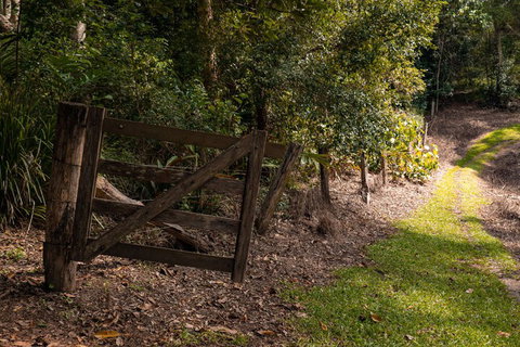Whispering Valley Cottage Retreat - Accommodation Sunshine Coast 7