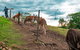 Whispering Valley Cottage Retreat - thumb 5