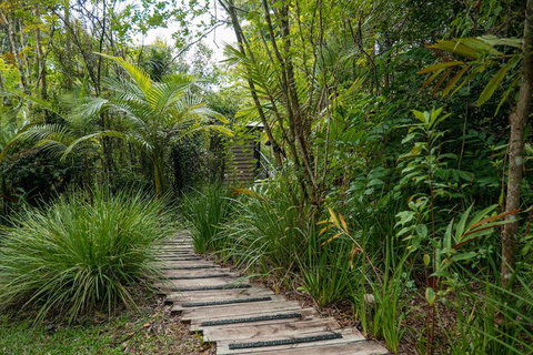 Whispering Valley Cottage Retreat - Accommodation Sunshine Coast 6