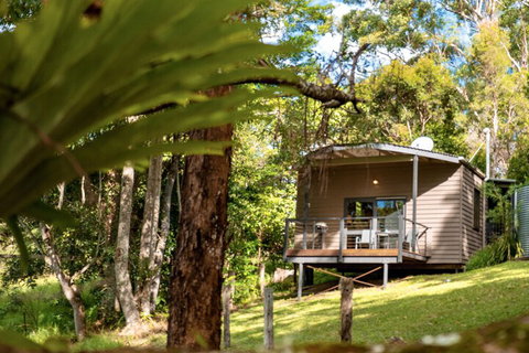 Whispering Valley Cottage Retreat - Accommodation Sunshine Coast 1