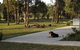 Wallaby Cottage Cute Accom In Bushland Setting - thumb 3