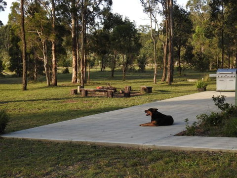 Wallaby Cottage Cute Accom In Bushland Setting - Accommodation Sunshine Coast 3