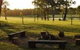 Wallaby Cottage Cute Accom In Bushland Setting - thumb 0