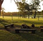 Wallaby Cottage cute Accom in bushland setting - Accommodation Sunshine Coast